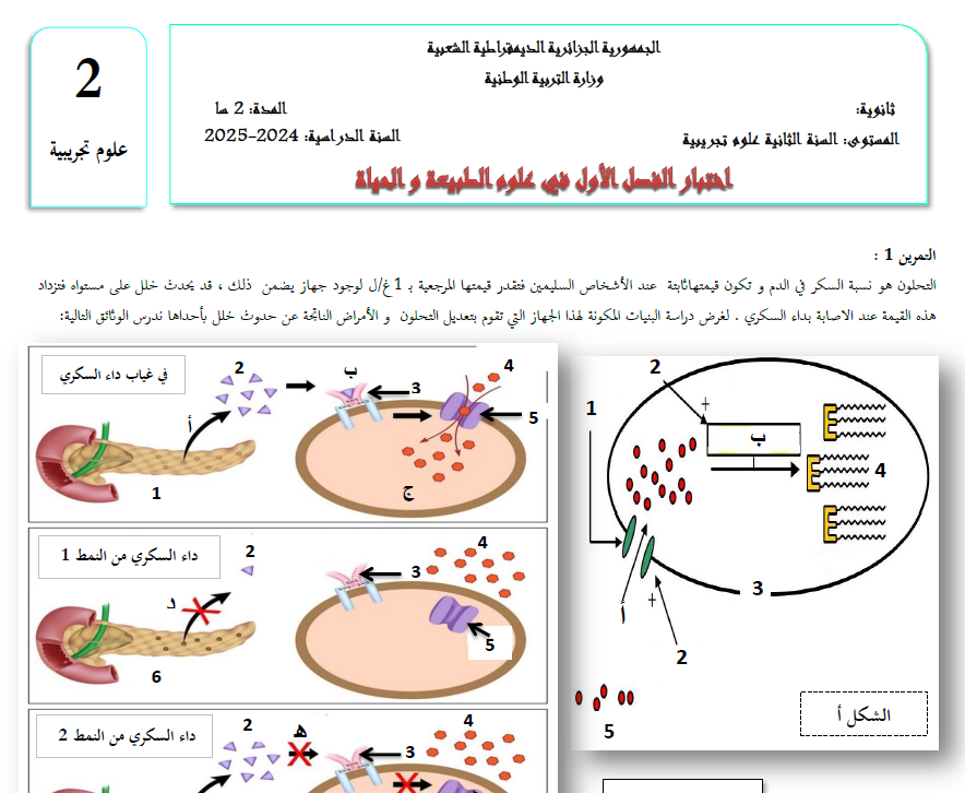 اختبار الفصل الاول في العلوم الطبيعية للسنة 2 ع ت مع الحلول pdf